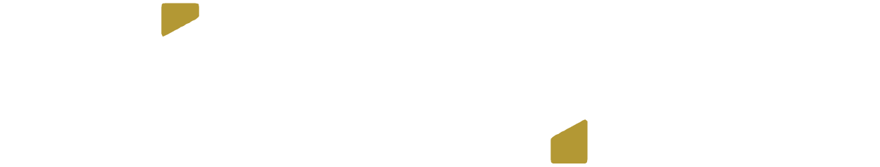 GINNICO